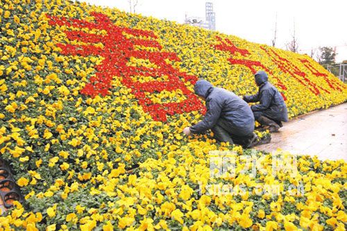 赣州市城区2012年春节摆花工程,春节前营造气氛工程